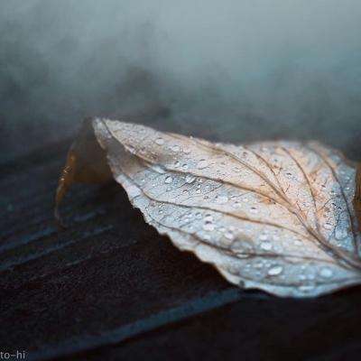 芒果体育手机app下载